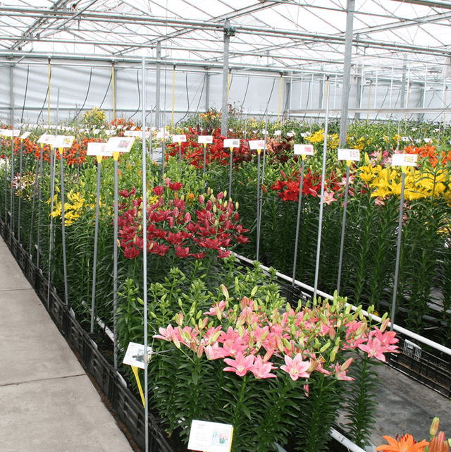 Assortiment & innovatie