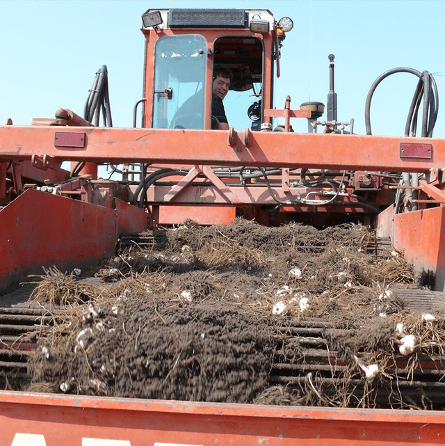 Duurzame teelt en productie