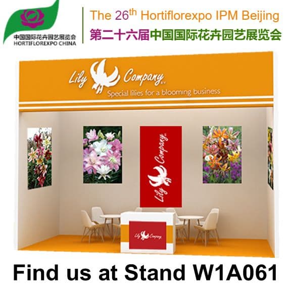Lily Company B.V. at IPM Beijing 2024!