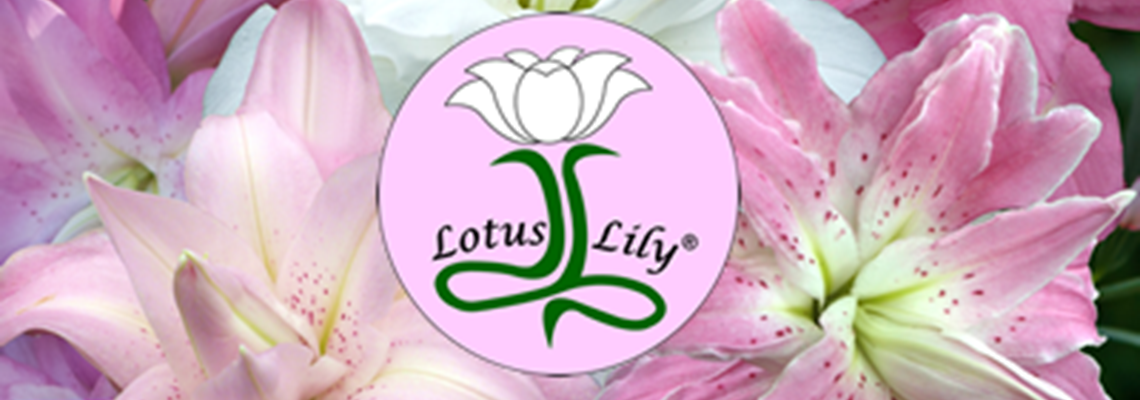 Lotus Lily ®